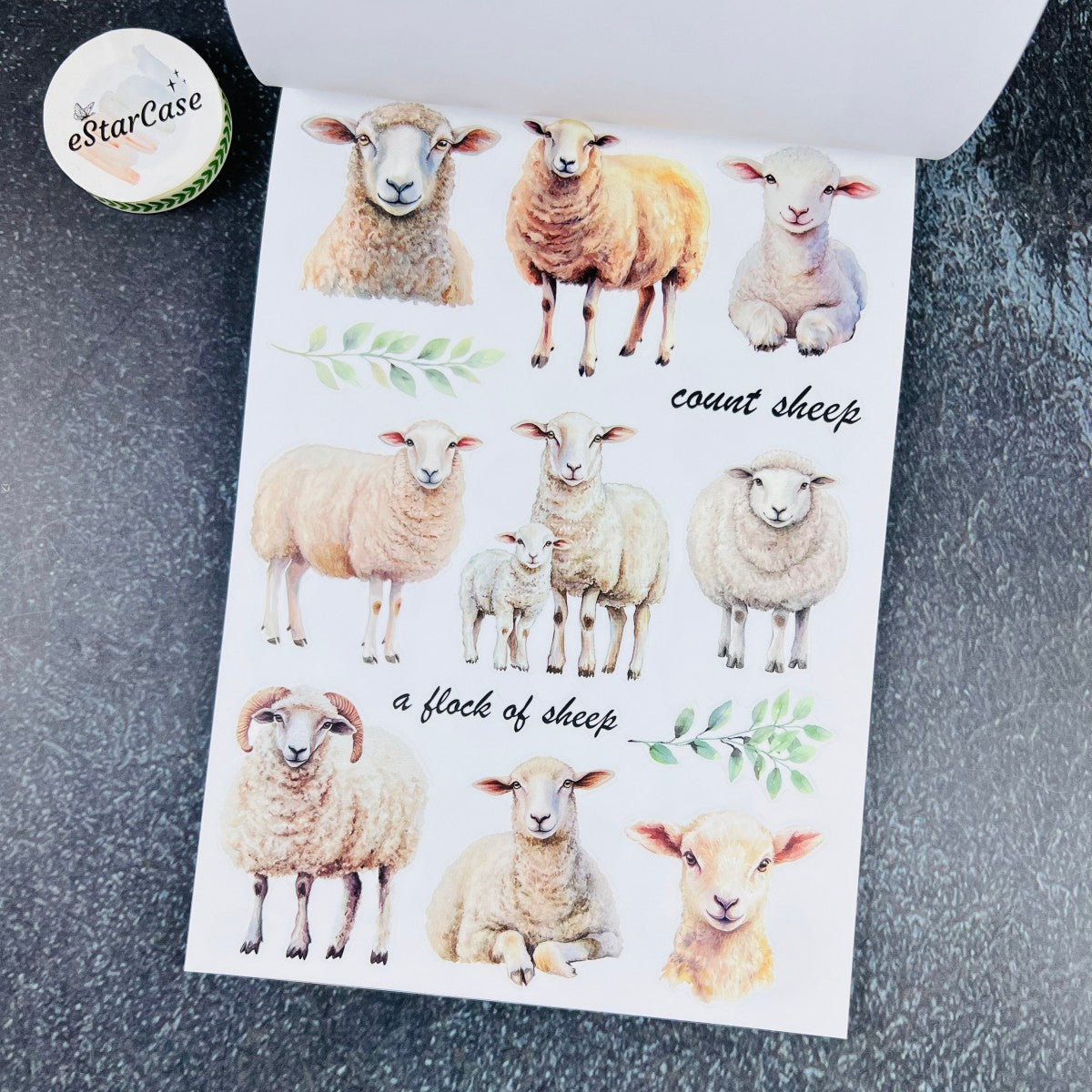 Shepherd’s Watch Sticker Book