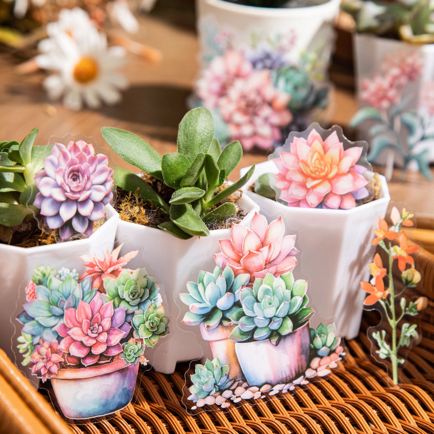 Succulent Scenery Stickers 20pcs