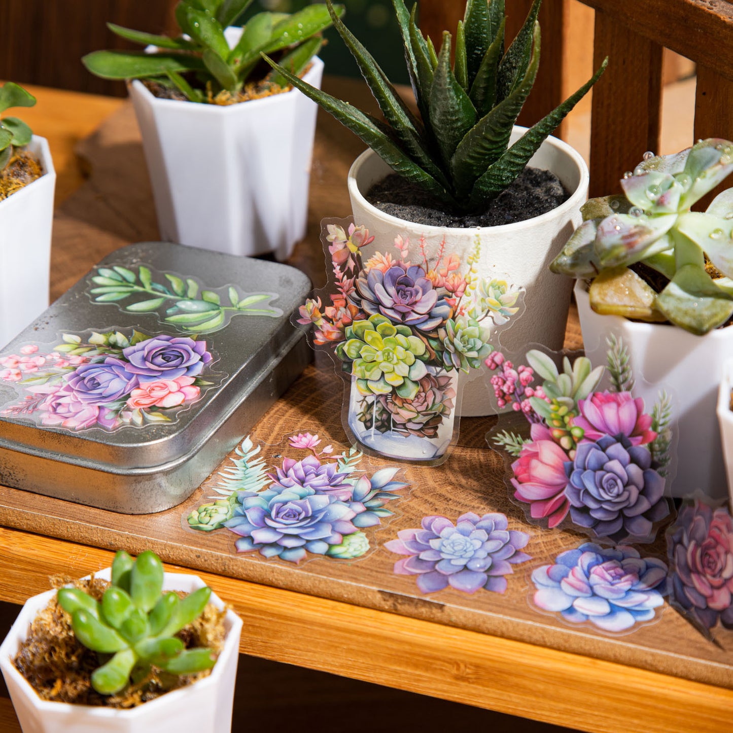 Succulent Scenery Stickers 20pcs