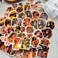 Sunflower Girl Stickers 50pcs