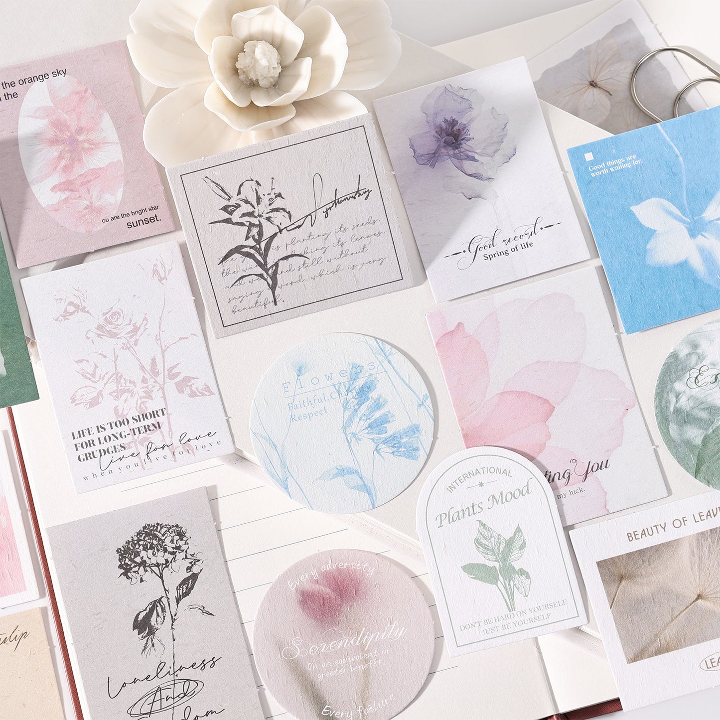 Talk to The Flowers Pack 30pcs