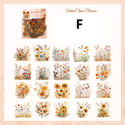 The Charm of The Years Sticker 40pcs