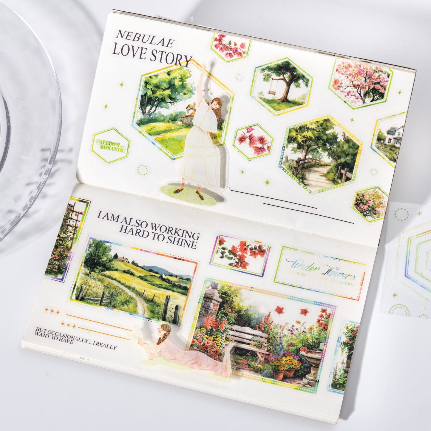 The Color of The Border Tape