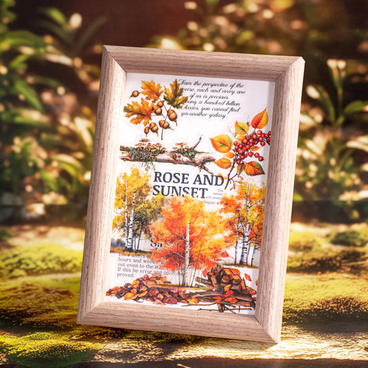 The Four Seasons Sticker 50pcs