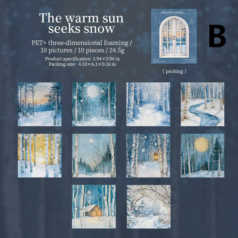 The Snow Outside The Window 10pcs
