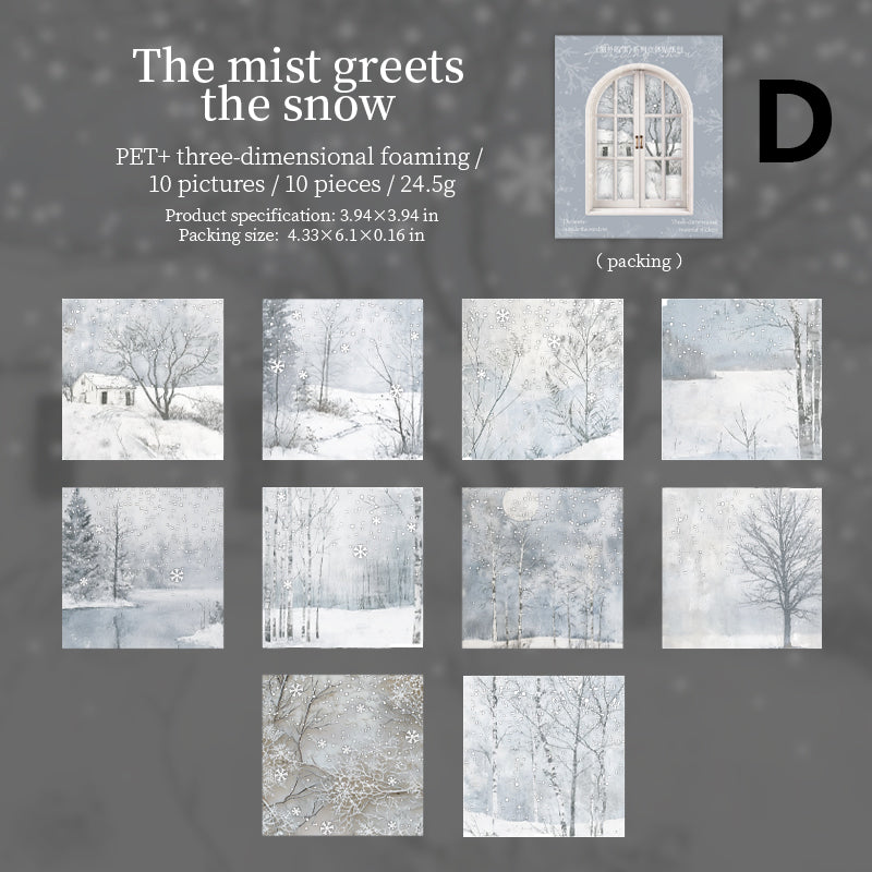 The Snow Outside The Window 10pcs
