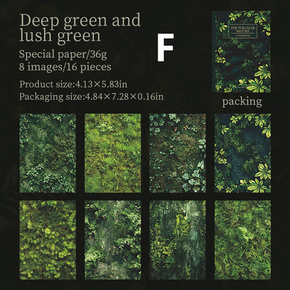 The Touch of Nature Paper 16pcs