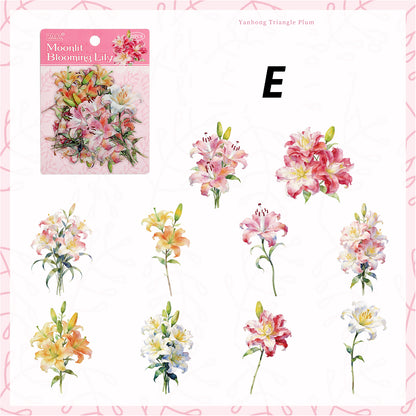 Tinglan Geass And Trees Sticker 20pcs