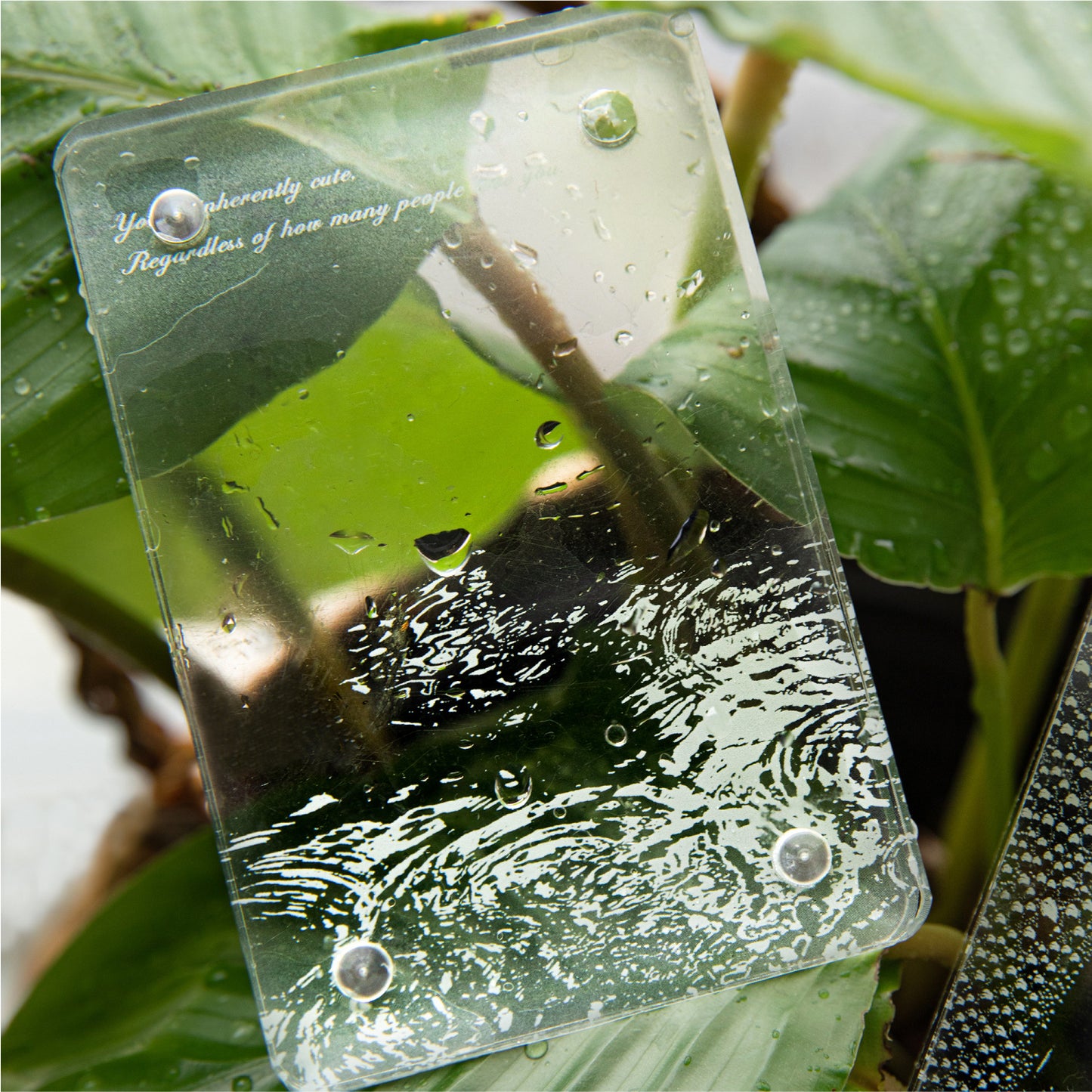 Trembling Mist Sleep Sticker 30pcs