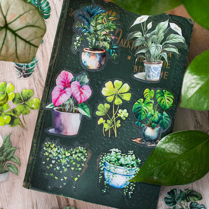 Tropical Rainforest Plant Stickers 30pcs