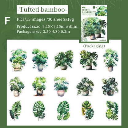 Tropical Rainforest Plant Stickers 30pcs