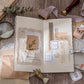 Kit de Papel Scrapbook Vintage Multi Material